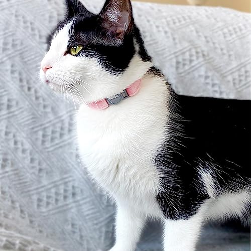Personalized Breakaway Cat Collar with Engraved Name and Phone Number - Customizable Kitten Collars for Boys and Girls - color: Velvet Breakaway