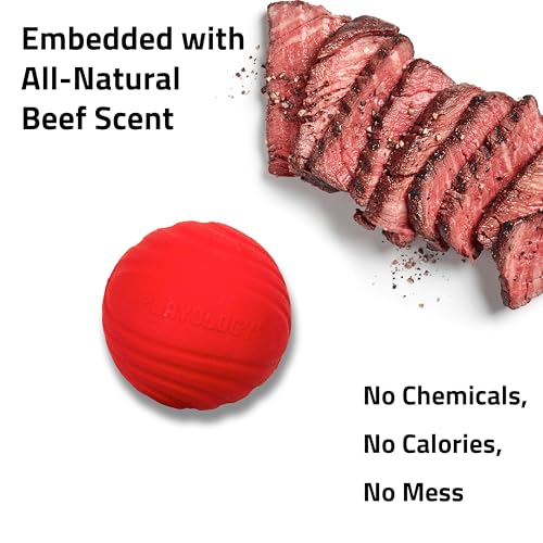Playology Dog Toys | Dual Layer Ball Durable Chew Toy for Tough Chewers | Beef Scented Jumbo Dog Ball | Chew Toys for Large Dogs - size: Jumbo, style: Beef