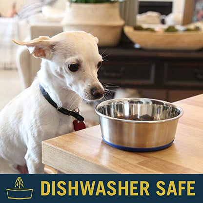 OurPet's DuraPet Premium Dishwasher Safe Stainless Steel Dog Bowl for Food or Water [Multiple Sizes for Small to Large Dogs] in Traditional or Wide Base Design - 2.25 Cup - size: 2.25 Cups