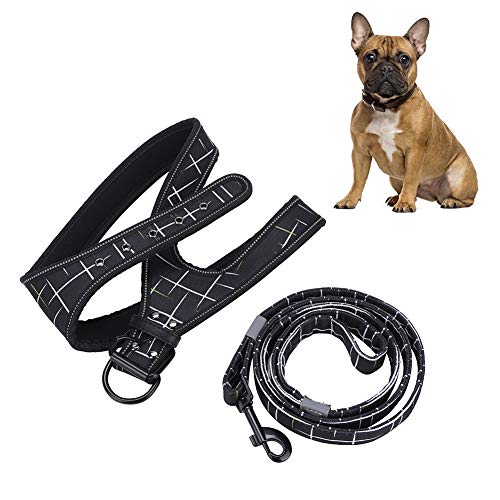 Reflective Dog Harness & Leash Set | Protective Pet Traction Suit for Night Visibility | Adjustable Dog Vest for Small/Medium/Large Breeds | Comfortable Neoprene Lining
