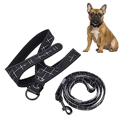 Reflective Dog Harness & Leash Set | Protective Pet Traction Suit for Night Visibility | Adjustable Dog Vest for Small/Medium/Large Breeds | Comfortable Neoprene Lining