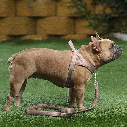 Plutus Pet No Pull Dog Harness with Breathable Mesh Padded, Adjustable Reflective Escape Proof Dog Harness, Quick Fit Dog Vest Harness for Small Dogs(XS, Beige) - color: Beige, size: XS: chest 13.8"-17.3"