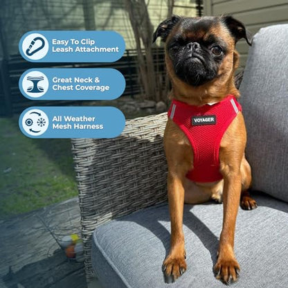 Best Pet Supplies Voyager Step-in Air Harness - All Weather Mesh, Reflective, No Pull Harness for Dogs, Cats - Secure with Hook & Loop Fastener, Buckle, Double D-Rings - Red, XS (Pack of 2) - size: Cat XS (Chest 13.5 - 15") (Pack of 2)