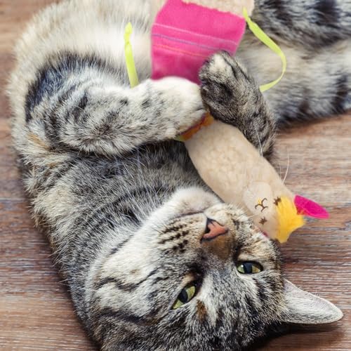 SmartyKat Leggy Llama Catnip Crinkly Plush Kicker Cat Toy, Soft Floppy Body for Wrestling & Bunny Kicks for Cats & Kittens - style: Leggy Llama