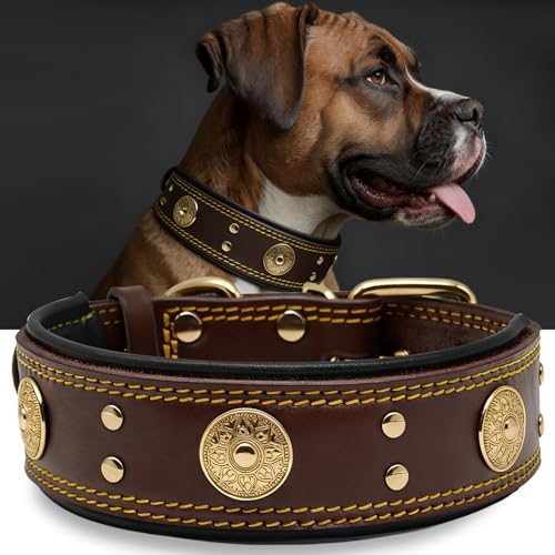 Leather Dog Collar, 2 inches Wide Heavy Duty Genuine Leather Collars, Handmade, Soft, and Luxury, Eye-catching Best Choice for Large and Medium Breed Dogs, Brown-Gold 21-25 in - color: Brown-Gold, size: 21-25 in