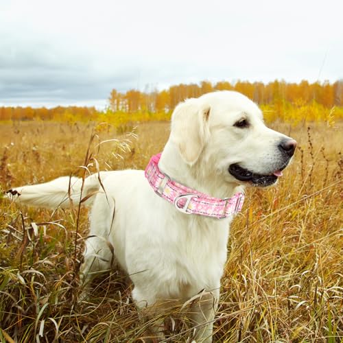 Pink Daisy Martingale Dog Collars for Dogs, Reflective Nylon Dog Collar with Buckle Adjustable Training, Walking, Hunting No Slip Dog Collar (Small, Daisy) - color: 1, size: S