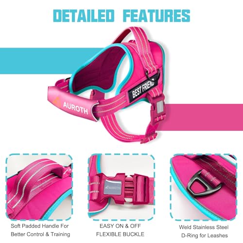 AUROTH Dog Harness and Leash Set, Soft Padded Service Dog Vest with 5.25FT Dog Leash, No Choke, Easy On Pet Vest, Adjustable Reflective No Pull Dog Harness Small Sized Dog, Easy Walking and Training - color: Rose Red, size: Small