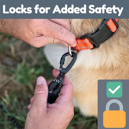 6 Foot Dog Leash, Two Extra Padded Handles, Locking Carabiner Clip, Reflective for Night Visibility, Weatherproof, Heavy Duty Rope Leash, Roam Gear (Black) - color: Black