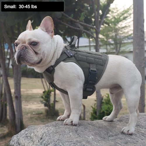 ICEFANG Tactical Dog Harness, Small Size,2X Metal Buckle,Working Dog MOLLE Vest with Handle,No Pulling Front Leash Clip,Hook and Loop Panel (Green,S (Pack of 1)) - color: Green, size: Small (Pack of 1)