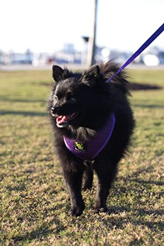 EcoBark Dog Harness - Luxurious Soft Mesh - Eco-Friendly Over The Head Vest Harness - No Pull & No Choke Design - Padded Breathable Body Halter - color: Purple