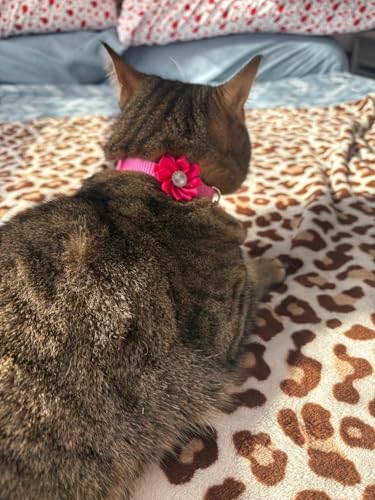 20PCS Cute Cat Collars Breakaway with Bell, Kitten Bow Tie Collar for Boy Cats and Girl Cats Gifts Flower Pet Collar