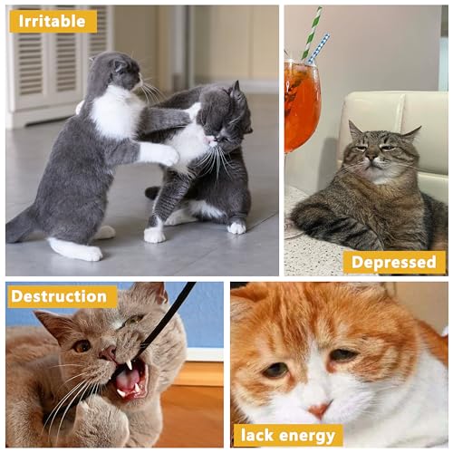 3 Pack Catnip Toys,Soft and Durable Cat Pillows Toys, Rich Color Catnip Toys,Indoor Interactive Cat Kicker Toy, Companion Toys for Cats (Pastel Set) - color: Pastel Set