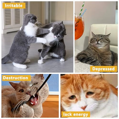 3 Pack Catnip Toys,Soft and Durable Cat Pillows Toys, Rich Color Catnip Toys,Indoor Interactive Cat Kicker Toy, Companion Toys for Cats (Pastel Set) - color: Pastel Set