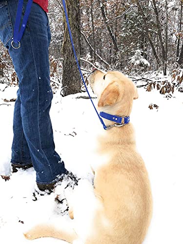 Regal Dog Products Waterproof Leash – 5 ft. Blue Dog Leash with Easy to Use Collar Hook, Lightweight, and Proof Training Pet Lead with Vinyl-Coated Webbing for Small, Medium, Large, or XL Dogs - color: Blue