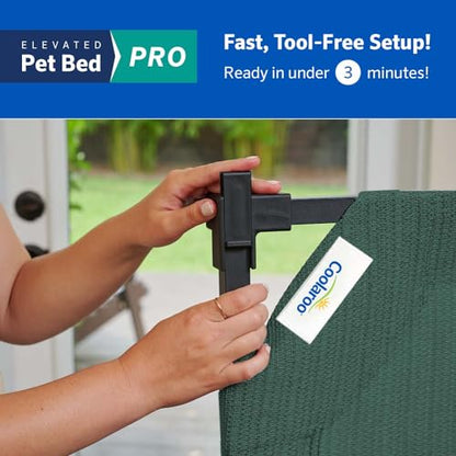 Coolaroo Pro Elevated Dog Bed - Low-Profile Access, Moisture-Resistant Cover, Breathable Fabric & Tool-Free Setup, Brunswick Green, Large - color: Brunswick Green, size: Large