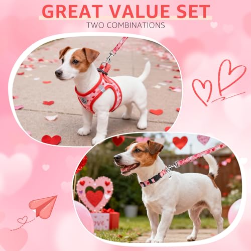 SCENEREAL Valentines Dog Harness Collar and Leash Set, Step in No Pull Soft Mesh Pet Harnesses for Small Medium Dogs Puppy Cats, No Chock Reflective Vest Harness - color: Pink Heart, size: M: Chest Girth: 16"-18"