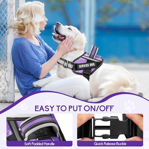 Service Dog Vest Harness and Leash Set, Animire in Training Dog Harness with 10 Dog Patches, Reflective Dog Leash with Soft Padded Handle for Small, Medium, Large, and Extra-Large Dogs - color: Purple, size: XXS