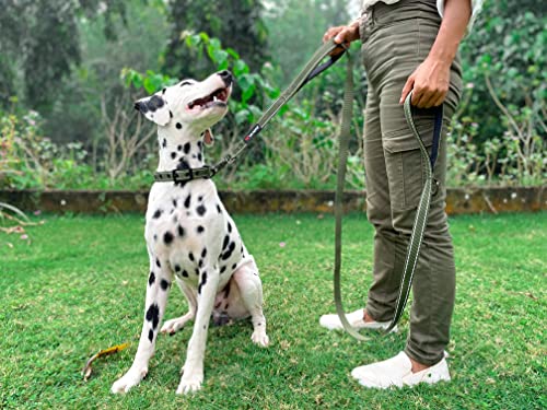 Tuff Pupper Heavy Duty Double Handle Leash with Twist Lock Carabiner Clip | Safety Lock for Strong Dogs | Reflective for Night Walks | 6ft for Medium & Large Dogs - color: Olive