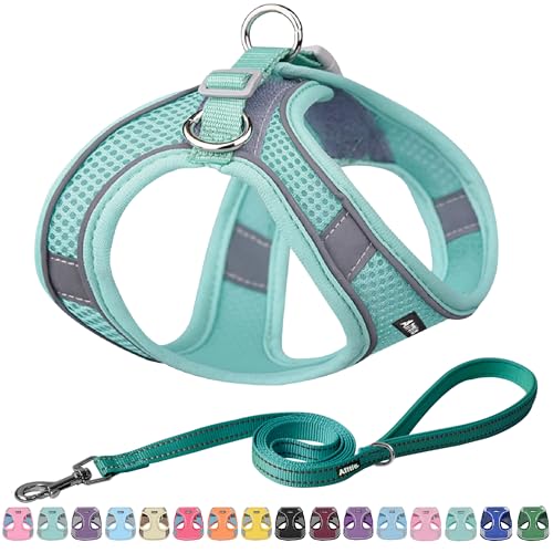 AIITLE Dog Harness, No-Pull Cat Harness with a Leash, Adjustable Reflective Dog Vest, Cat Harness Escape Proof, Outdoor Walking, Running for Extra Small Dogs and House Cats Pure Turquoise XXXS - color: Pure Turquoise, size: XXXS(Chest: 8.5 - 10")