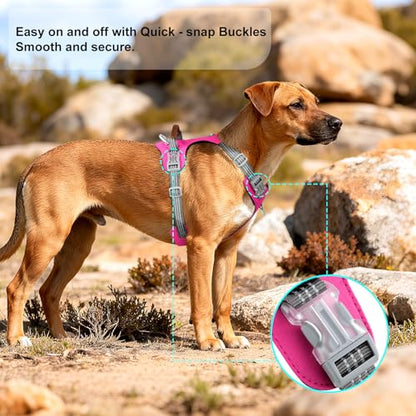 No Pull Dog Harness – Adjustable Reflective Nylon Vest for Small Medium Large Dogs, Escape Proof Training Harness with Leather Control Handle, Lightweight Aluminum Hardware (Hot Pink, M) - color: Hot Pink, size: M