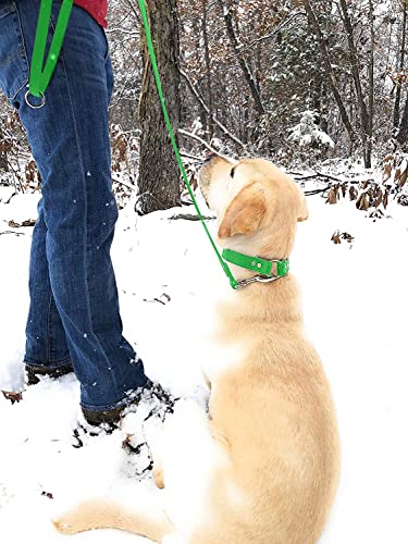 Regal Dog Products Waterproof Leash – 5 ft. Green Dog Leash with Easy to Use Collar Hook, Lightweight, and Proof Training Pet Lead with Vinyl-Coated Webbing for Small, Medium, Large, or XL Dogs - color: Green