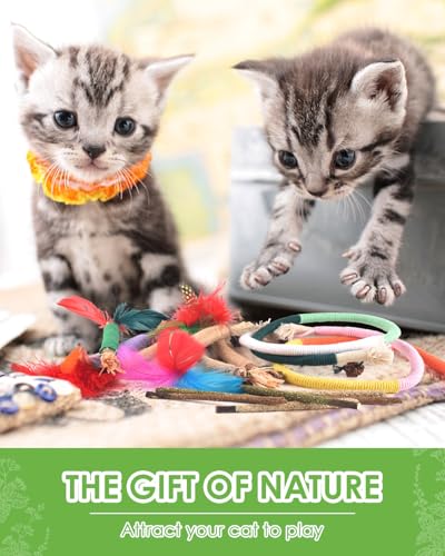 TINDTOP Cat Chew Toys, 12 Pack Silvervine Chew Sticks with 2 Pack Chew Ropes for Kittens Teeth Cleaning, Increase Appetite, Aggressive Chewers Cat Dental Toy - color: 14 Pack