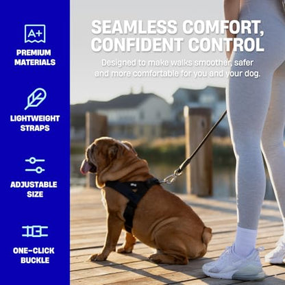 Dog Friendly Co. Dog Harness | Chafe Resistant Webbing, Adjustable Neck & Chest, and Heavy Duty D-Ring | Sturdy, Comfortable, Easy to Use | Brown, Size XXS - color: Brown, size: XX-Small