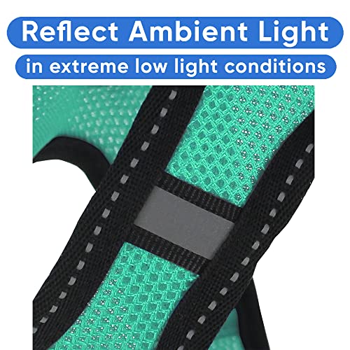 Pawtitas Dog Vest Harness Made with Breathable Air Mesh | All Weather Vest Harness for Extra Small Puppies and Large Cats with Quick-Release Buckle - Extra Small Teal Mesh Dog Harness - color: Teal, size: X-Small (Pack of 1)
