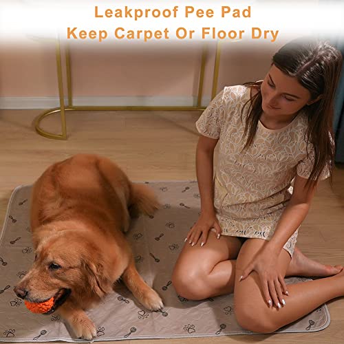 Peepeego 2Pack 36x36 Dog Pads Washable and Free Dog Comb, Reusable Puppy Pads with Fast Absorbent, Waterproof, Non Slip Incontinence Pads for Training, Whelping, for Playpen, Crate, Kennel - size: 2Pack 36x36