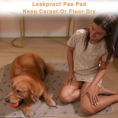 Peepeego 2Pack 36x36 Dog Pads Washable and Free Dog Comb, Reusable Puppy Pads with Fast Absorbent, Waterproof, Non Slip Incontinence Pads for Training, Whelping, for Playpen, Crate, Kennel - size: 2Pack 36x36