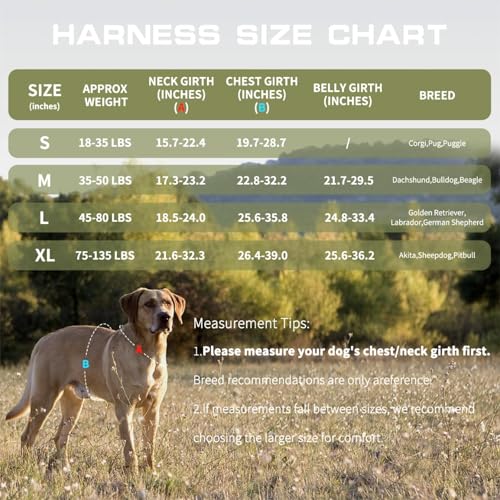 Small Dog Harness, Heavy Duty Tactical No Pull Dog Harness, No Choke, Easy On and Off Pet Vest with Molle System, Adjustable Reflective Dog Vest with Breathable Padded for Walking Hiking Training - color: Green, size: S(Neck:16-22",Chest:20-28"),18-35 lbs