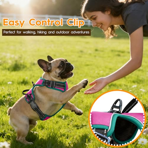No Pull Dog Harness, No Chock Reflective Adjustable Soft Padded Pet Vest with Easy Control Handle, Easy Wearing with Stylish, Reinforced Knot, 2 Buckles - color: Pink/Turquoise, size: X-Small