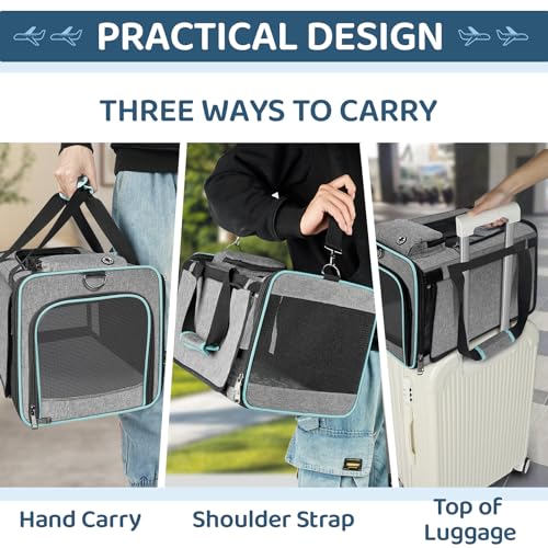 GAPZER Soft-Sided Pet Carrier for Air Travel 18x11x11 Inch - Underseat Cabin Carry Bag for Small Cats & Dogs Under 15 lbs - size: 18"x11"x11"