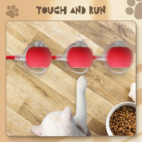 Interactive 2025 Upgraded Version Dog & Cat Toy, Intelligent Automatic Rolling Ball (Green) - color: Green