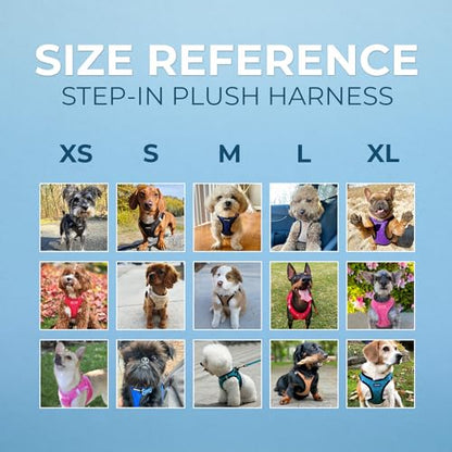 Best Pet Supplies Voyager Step-in Plush Dog Harness - Soft, Step in Vest Harness and Reflective Dog 5 ft Leash Combo with Neoprene Handle for Small and Medium Dogs, Turquoise Plush, S - color: Harness Leash Set (Turquoise Plush), size: S (Chest: 14.5 - 16