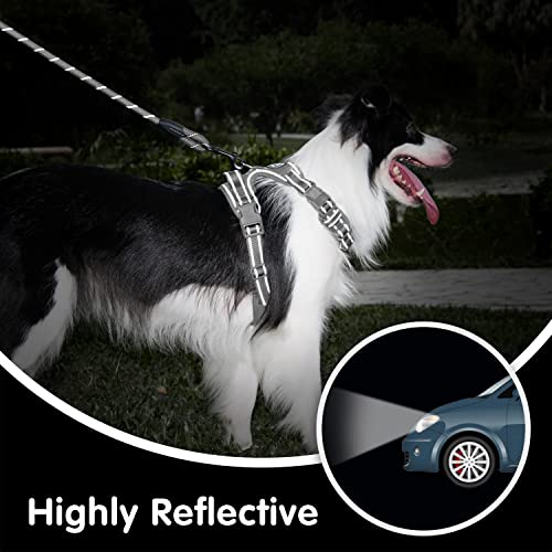 PoyPet No Pull Dog Harness and 5 Feet Leash Set, Release on Neck Reflective Adjustable Pet Vest, Front & Back 2 D-Ring and Soft Padded Pet Harness with Handle for Small to Large Dogs(Grey,S) - color: Grey, size: S