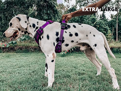 Tuff Pupper No Pull Easy Walk Dog Harness | Heavy Duty Pet Vest | Front & Back Leash Clips | Strong Safety Handle | Reflective Anti Pull Vest | Comfortable Padded Escape Proof Harness(X-Large, Purple) - color: Purple, size: X-Large (Neck: 20-30" , Chest: