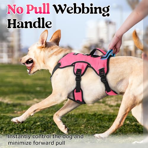 rabbitgoo Escape Proof Dog Harness, Soft Padded Full Body Pet Harness, Reflective Adjustable No Pull Vest with Lift Handle and Leash Clip for Large Dogs Walking Hiking Training, M, Pink - color: Pink, size: Medium (Pack of 1)
