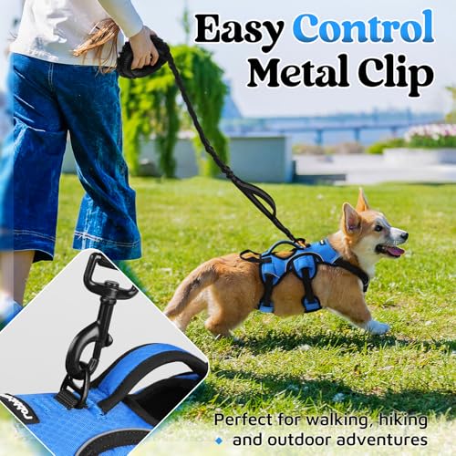 rabbitgoo Escape Proof Dog Harness, Soft Padded Full Body Pet Harness, Reflective Adjustable No Pull Vest with Lift Handle and Leash Clip for Large Dogs Walking Hiking Training, S, Blue - color: Blue, size: Small (Pack of 1)