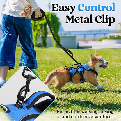 rabbitgoo Escape Proof Dog Harness, Soft Padded Full Body Pet Harness, Reflective Adjustable No Pull Vest with Lift Handle and Leash Clip for Large Dogs Walking Hiking Training, S, Blue - color: Blue, size: Small (Pack of 1)