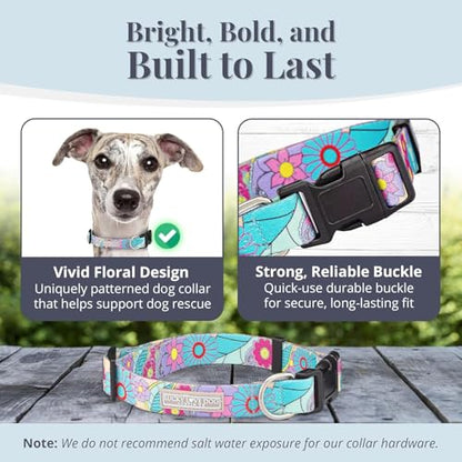 Lucky Love Dog Collars, Cute X-Small Dog Collars for Female Dogs, Part of Purchase Donated to Rescue, Caroline, Extra Small - color: Caroline Collar Only, size: X-Small | 7-11"