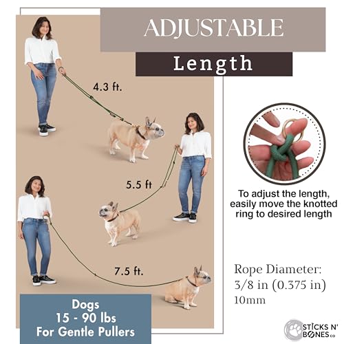 Hands Free Dog Leash, Waist Leash for Dog Walking, Crossbody, Multifunctional, Dog Lead, Running, 2 Dogs, Dual Handle, Traditional Lead, Adjustable Lead 4.3ft - 7.5ft, 3/8" (10mm) Diameter. - color: Maple Brown