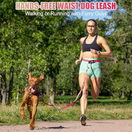 Heavy Duty Hands Free Dog Leash, 5-7 FT Reflective Adjustable Waist Dog Leash Belt with Padded Handles, Shock Absorbing Bungee and Car Seat Belt for Large Medium Dogs (Gradient Rose, XL) - color: Gradient Rose