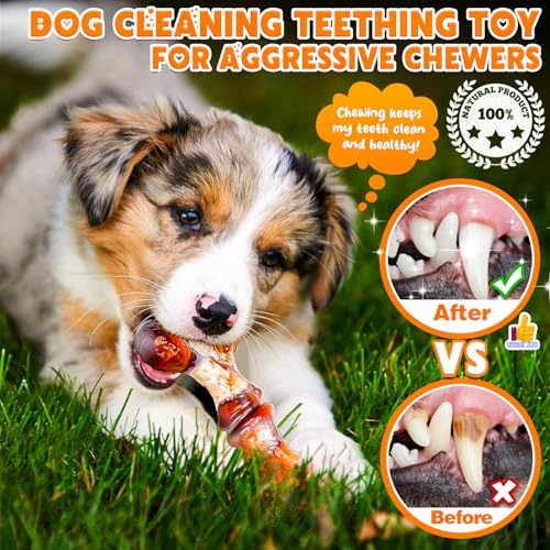 4-Pack Dog Chew Toys for Aggressive Chewers, Indestructible Nylon Bones with Bacon Flavor, Tough Durable Teeth Cleaning Chew Dog Toy for Large Medium Small Breeds - size: Medium