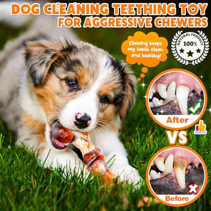 4-Pack Dog Chew Toys for Aggressive Chewers, Indestructible Nylon Bones with Bacon Flavor, Tough Durable Teeth Cleaning Chew Dog Toy for Large Medium Small Breeds - size: Medium