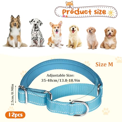 12 Pcs Martingale Collar for Medium Dogs Adjustable Pet Training Collar Reflective Dog Collar with Durable Metal Buckle Heavy Duty Nylon No Pull Martingale Collar for Small Medium Large Dogs, Medium