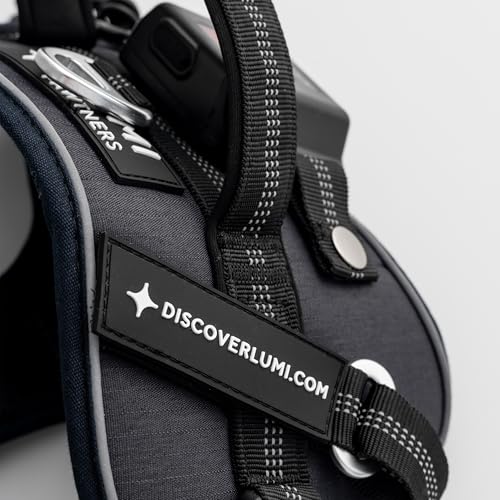 Lumi One LED Dog Harness for Night Visibility and Safety, Patent Pending – High-Visibility Light-Up Dog Vest with 1000 Lumen LED, Rechargeable Battery, Adjustable Fit, Reflective Trim (Black, Small) - color: Black, size: Small