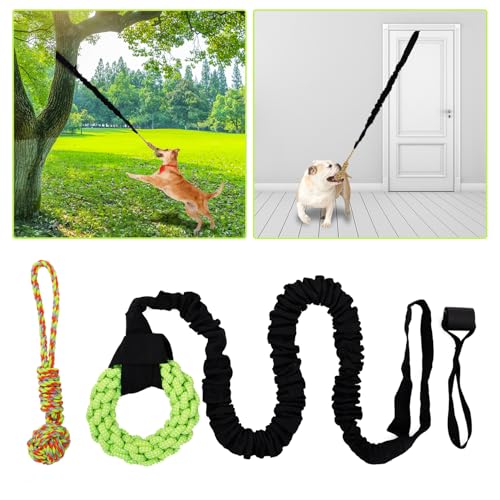 Dog Rope Toys Set with Door Anchor, Interactive Bungee Tug Toy for Indoor and Outdoor Play, Black and Green