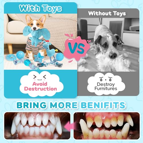 8 Pack Luxury Puppy Toys for Teething Small Dogs, Puppy Chew Toys with Squeaky Dog Toys, Balls and Rope Dog Chew Toys, Dog Toys to Keep Them Busy (Blue, 8-Pack) - color: Blue, 8-pack