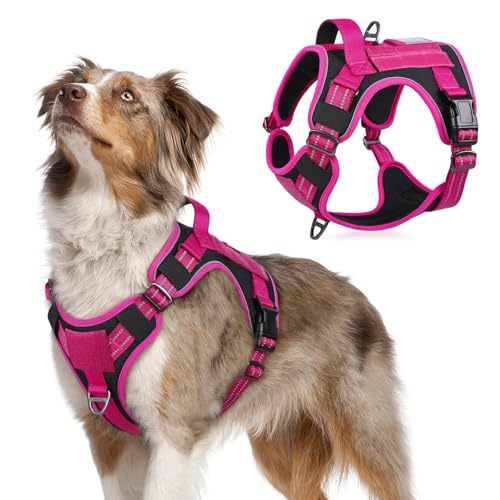 rabbitgoo Tactical Dog Harness for Large Dogs, No Pull Military Service Vest with Handle & Molle, Easy Control for Training Walking, Adjustable Reflective Straps, Black & Rose Red, M - color: Black & Rose Red, size: Medium